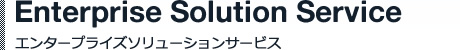 エンタープライズソリューションサービス